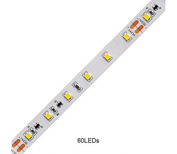  Strip LED 